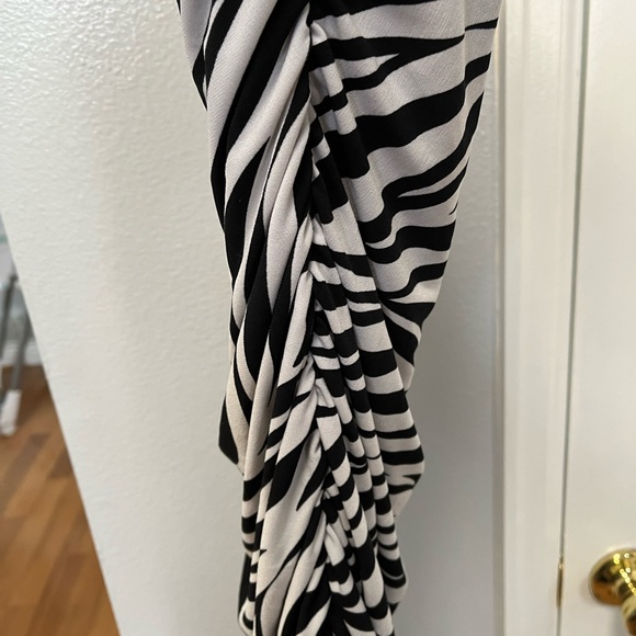 Sweet Storm Zebra dress - Picture 2 of 3